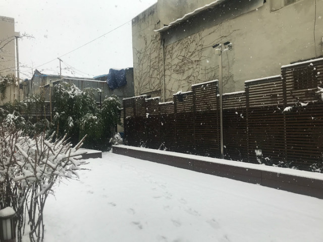 KakaoTalk_20180308_092714072.jpg